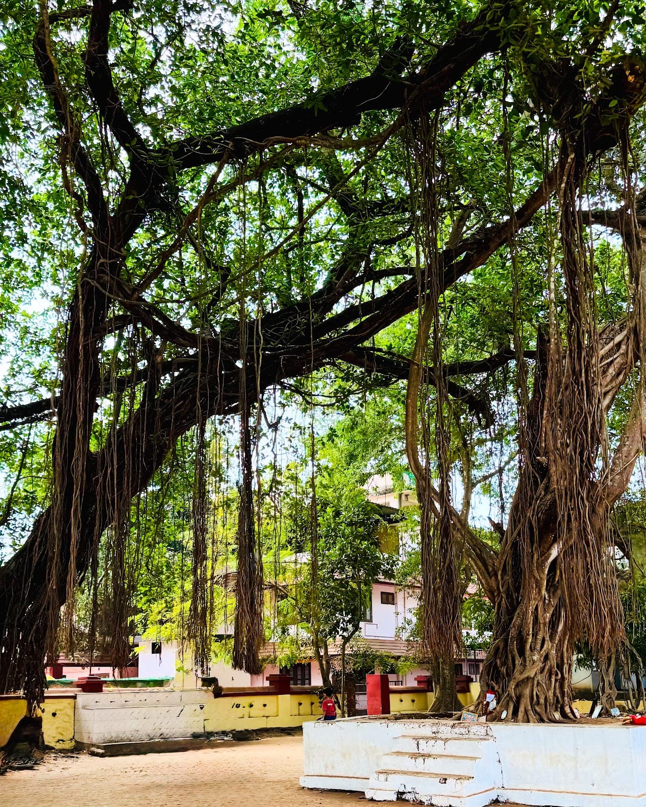 Kerala, India, 2025